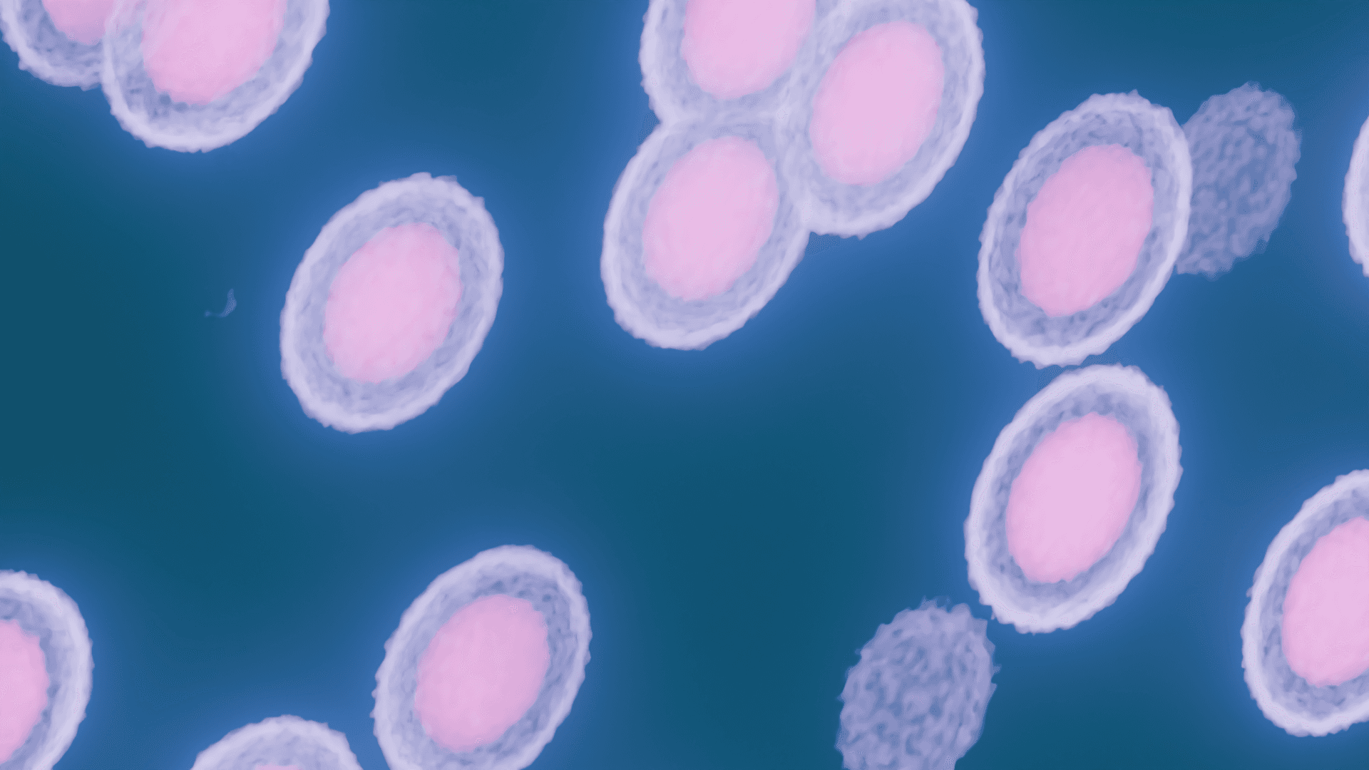 Biological Cells Animation